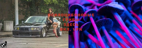 спиды Кодинск