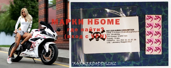 стаф Кинешма