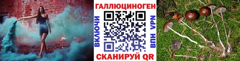 Псилоцибиновые грибы Cubensis  купить наркотик  Кизляр 